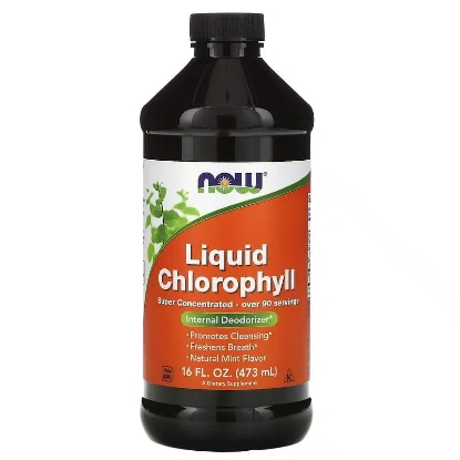 NOW LIQUID CHLOROPHYLL Mint Flavor 473 ml